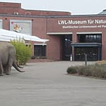 Naturkundemuseum Münster mit Planetarium